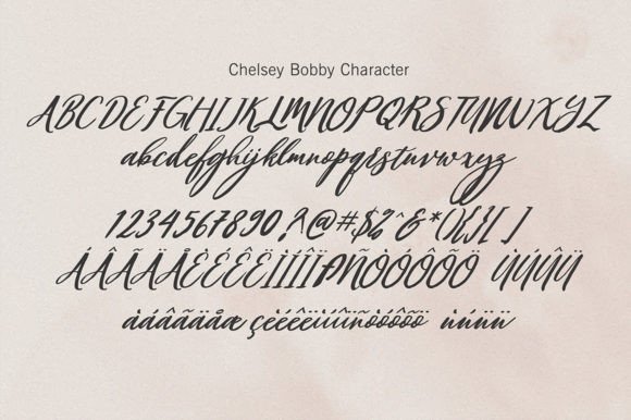 Chelsey Bobby Font - Preview 5