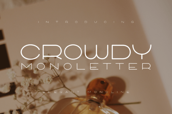 Crowdy Monoletter Sans Serif Font By Monoletter
