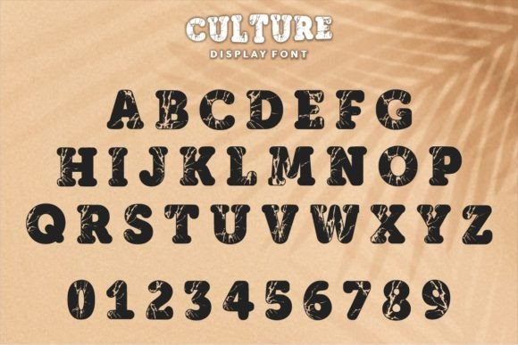 Culture Font - Preview 4