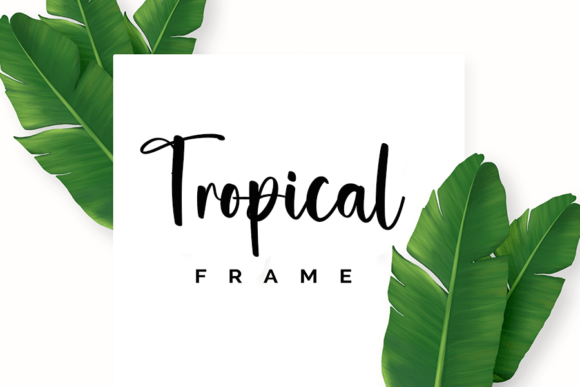 Dolphin Font PNG with transparent background - Preview 3