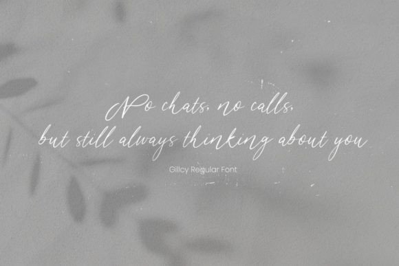 Gillcy Font - Preview 6