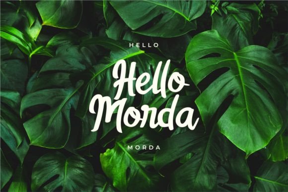 Letterella Qwein Font PNG with transparent background - Preview 2
