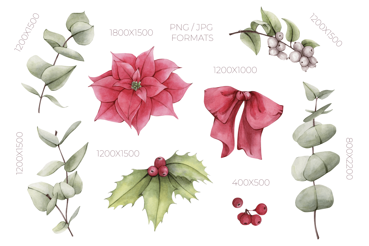 Watercolor Christmas Flowers Cliparts - photo 2