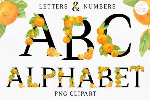 Watercolor Citrus Alphabet Letters PNG Graphic Illustrations By Olya Haifisch