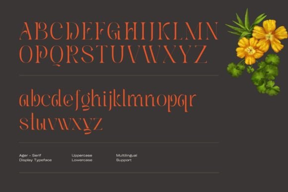 Ager Font - Preview 5