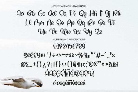 Beauty Culture Font - Preview 5
