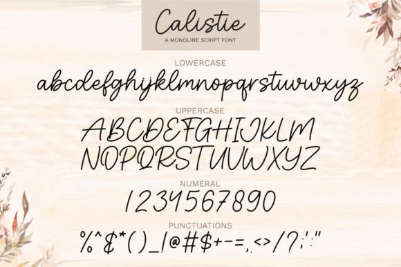 Calistie Font - Preview 4