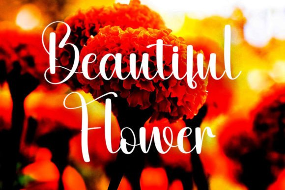 Right Font PNG with transparent background - Preview 1