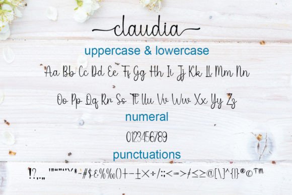 Claudia Font - Preview 4