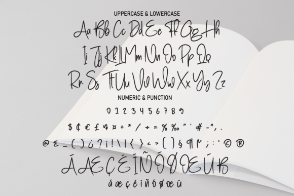 Book Signature Font - Preview 3