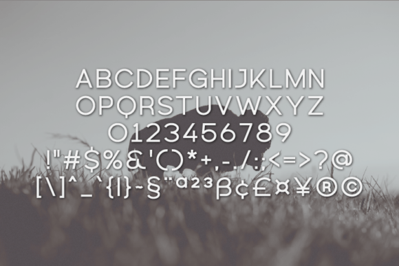 Buffalo Font - Preview 1