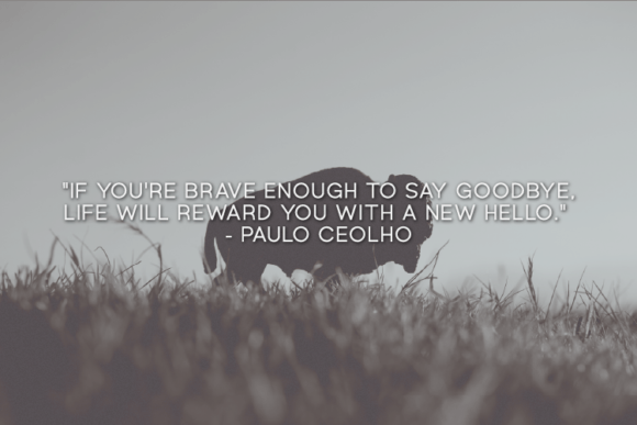 Buffalo Font - Preview 2