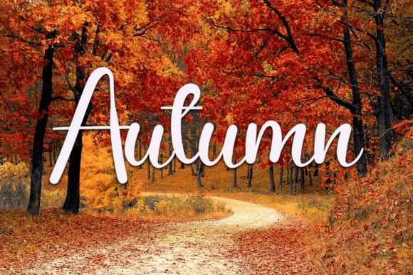 Homewrok Font PNG with transparent background - Preview 2