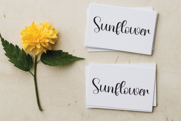 Jolly Font - Preview 4