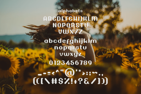 Karin Collection Font PNG with transparent background - Preview 4