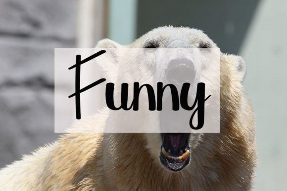 Bear Font - Preview 3