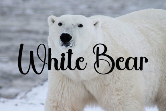 Bear Font - Preview 4
