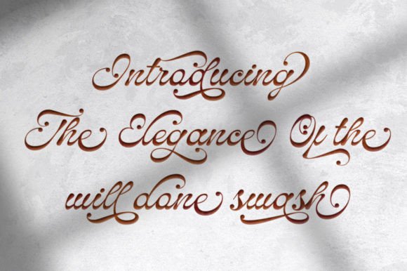 Gamila Font - Preview 5
