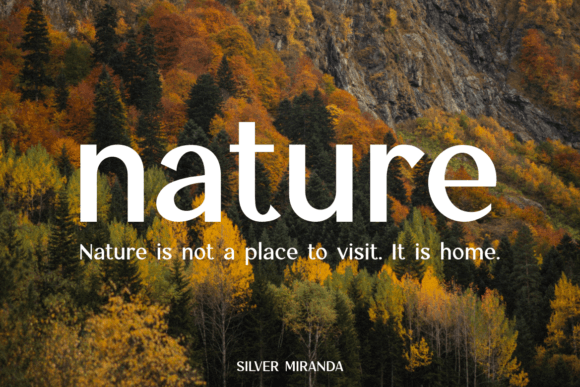 Silver Miranda Font PNG with transparent background - Preview 3