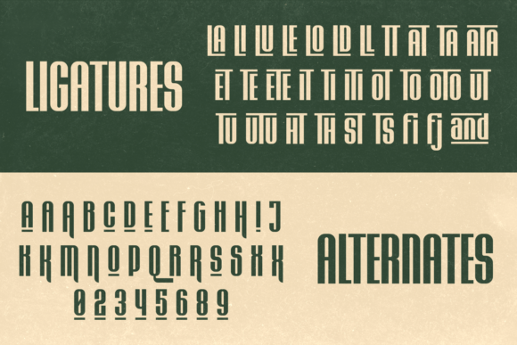 Bosque Line Font - Preview 3