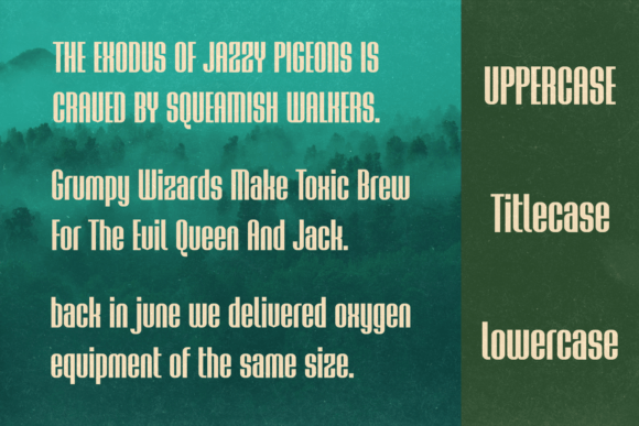 Bosque Line Font - Preview 5