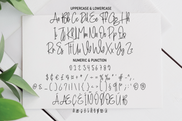 Commingsoon Font - Preview 3