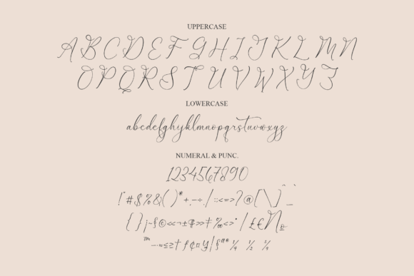 Garbina Sarleta Font - Preview 2