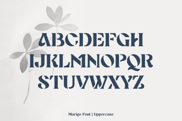 Marigo Font PNG with transparent background - Preview 1