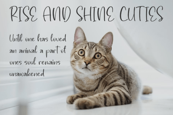 Santmolya Galisha Font PNG with transparent background - Preview 5