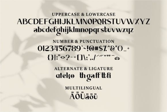 Anike Font - Preview 5