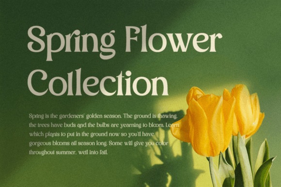 Argillites Font - Preview 5
