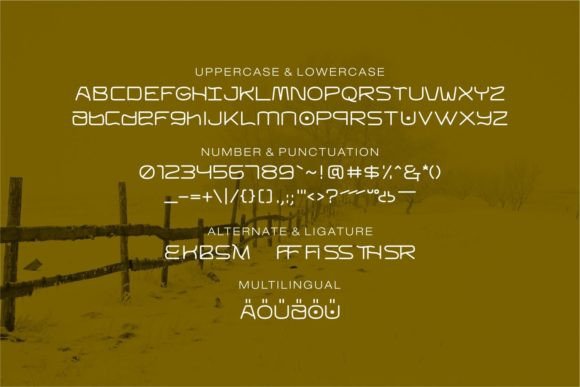Basmi Font - Preview 5