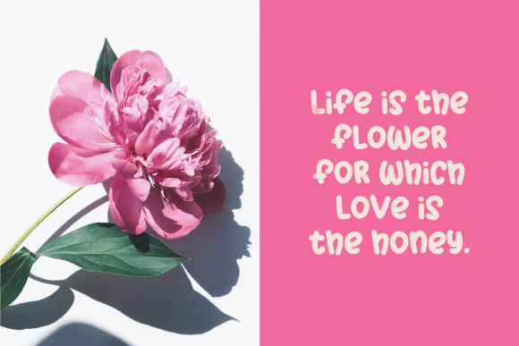 Flower Power Fd Font - Preview 5