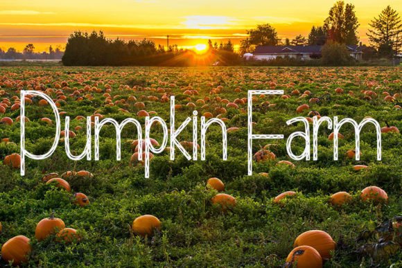 Happy Halloween Font - Preview 2