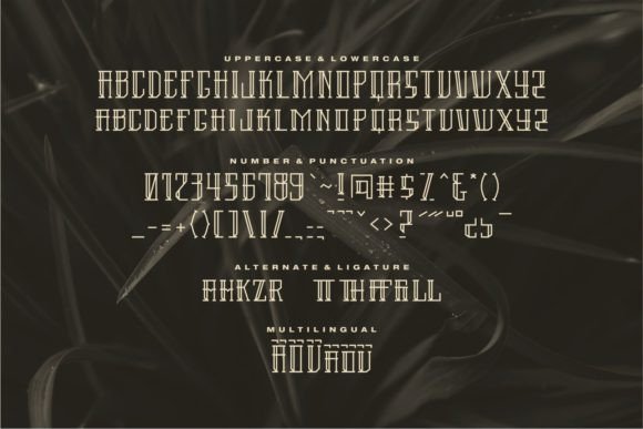 Noza Font PNG with transparent background - Preview 5