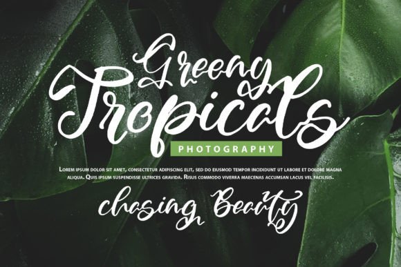 Azaleya Font - Preview 3