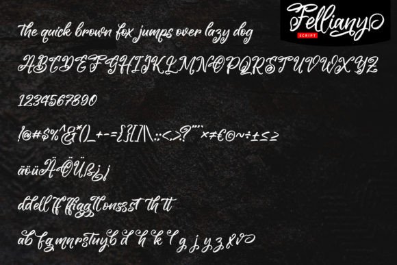 Felliany Font - Preview 4