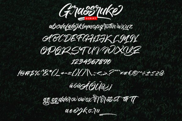 Grassruke Font - Preview 4