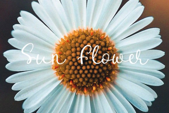 Mortalue Font PNG with transparent background - Preview 3