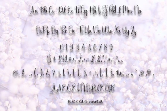 Beautiful Font - Preview 4
