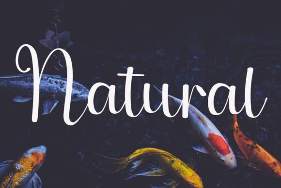 Beautiful Nature Font - Preview 1