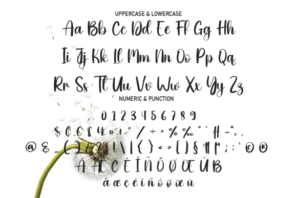 Dandelion Font PNG with transparent background - Preview 6