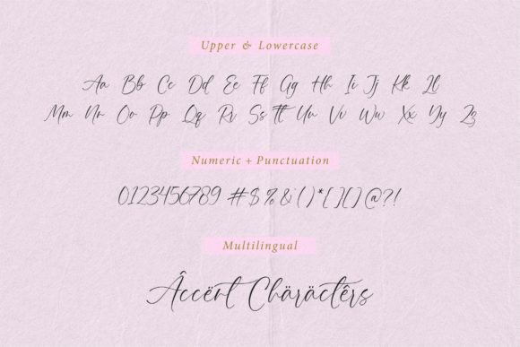 Palmera Emilia Font PNG with transparent background - Preview 5