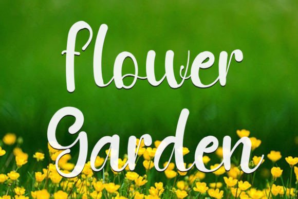 Shining Nature Font PNG with transparent background - Preview 1