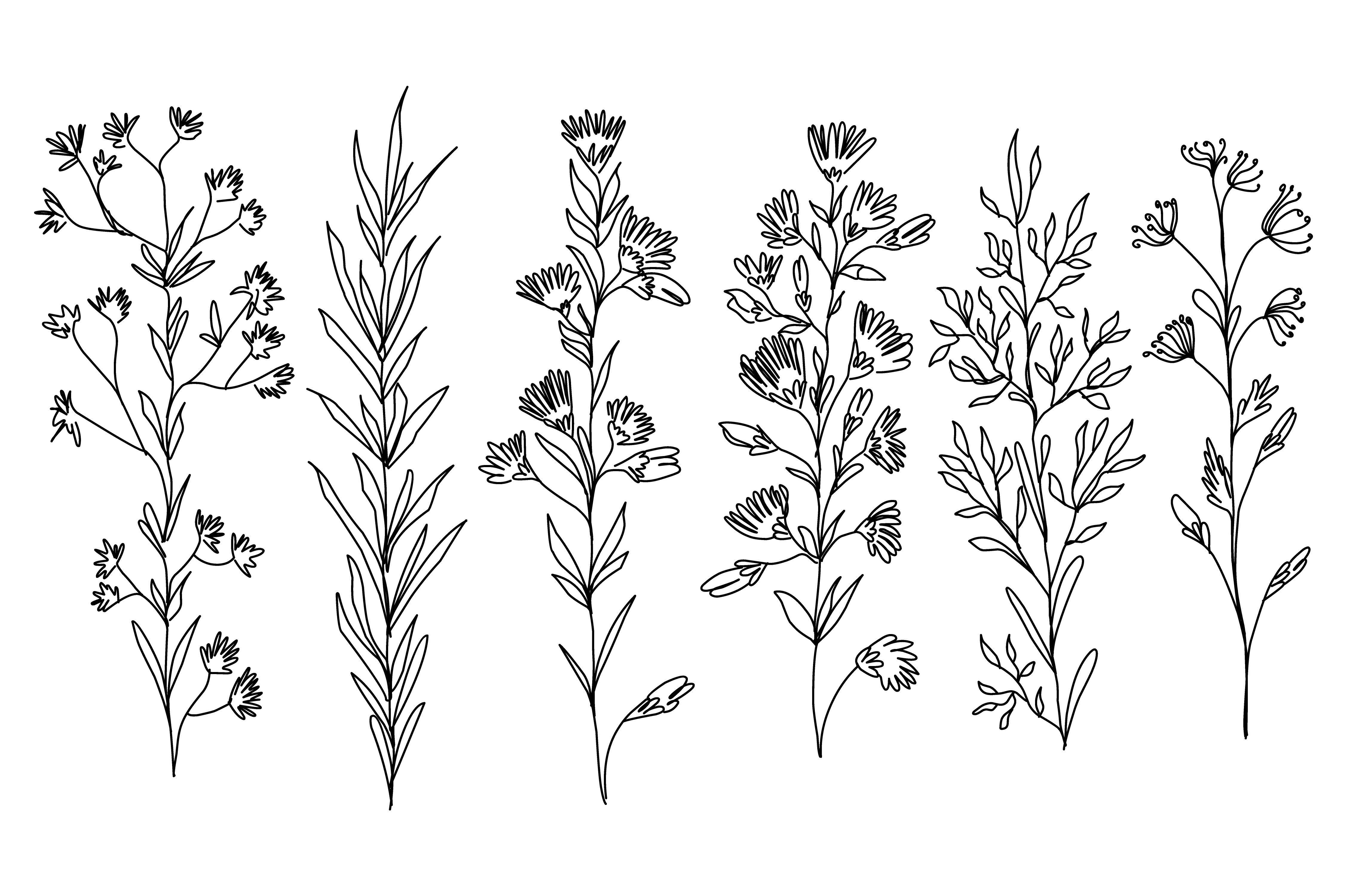 Abstract Flower Line Art Design Graphic by oxur4 · Creative Fabrica