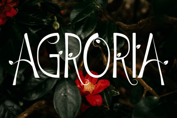 Agroria Font - Preview 2