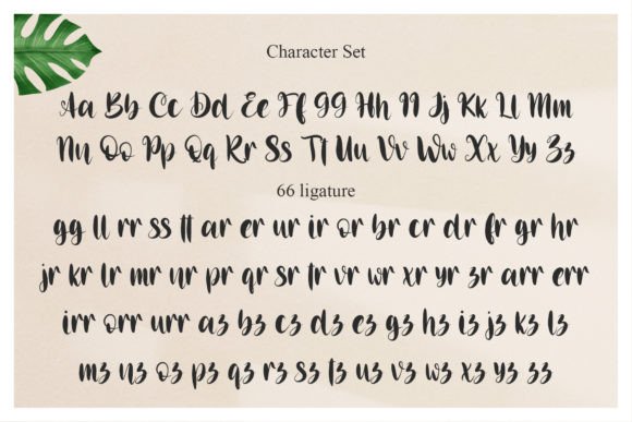 Anglina Farmhouse Font PNG with transparent background - Preview 4
