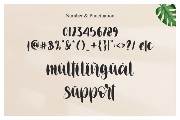 Anglina Farmhouse Font PNG with transparent background - Preview 5