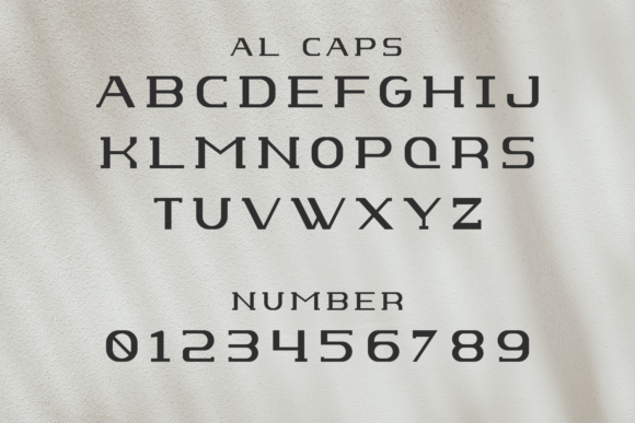 Baoru Slab Font - Preview 1