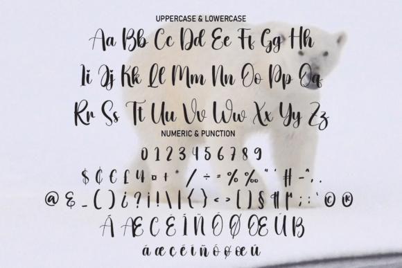 Bear Font - Preview 1